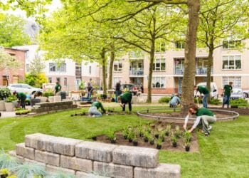 Buurtbewoners transformeren grijs plein in Haarlem-Noord naar groene oase