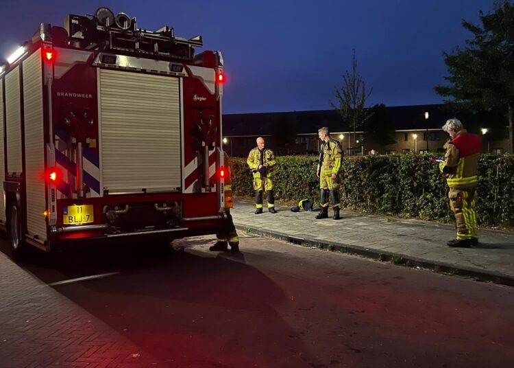 Foto: Inter Visual Studio