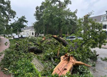 Overzicht storm Poly: één dodelijk slachtoffer, veel omgewaaide bomen, huizen en auto’s beschadigd