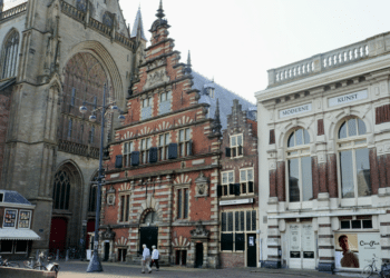 PINK de Thierry eerste solotentoonstelling in Frans Hals Museum