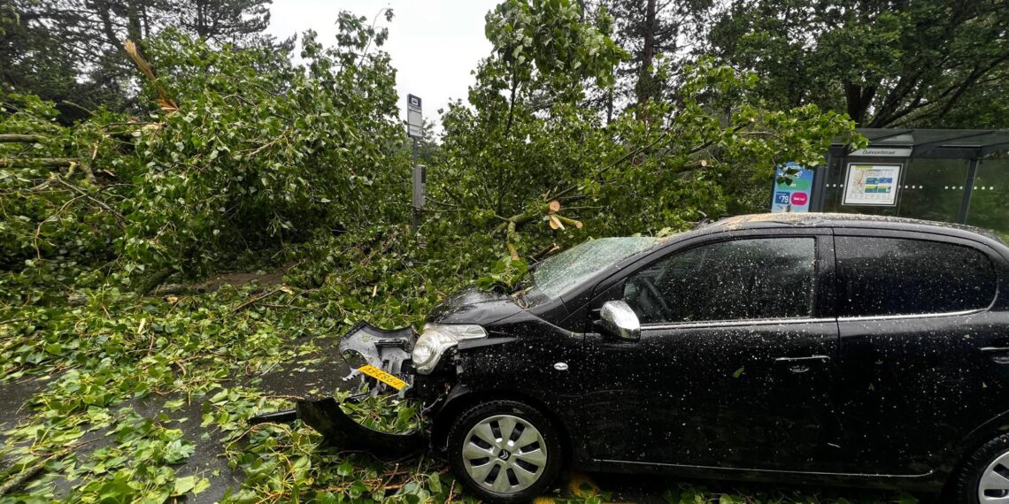 Overzicht storm Poly: één dodelijk slachtoffer, veel omgewaaide bomen, huizen en auto’s beschadigd