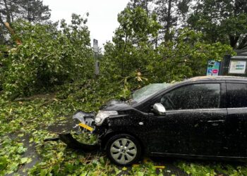 Overzicht storm Poly: één dodelijk slachtoffer, veel omgewaaide bomen, huizen en auto’s beschadigd