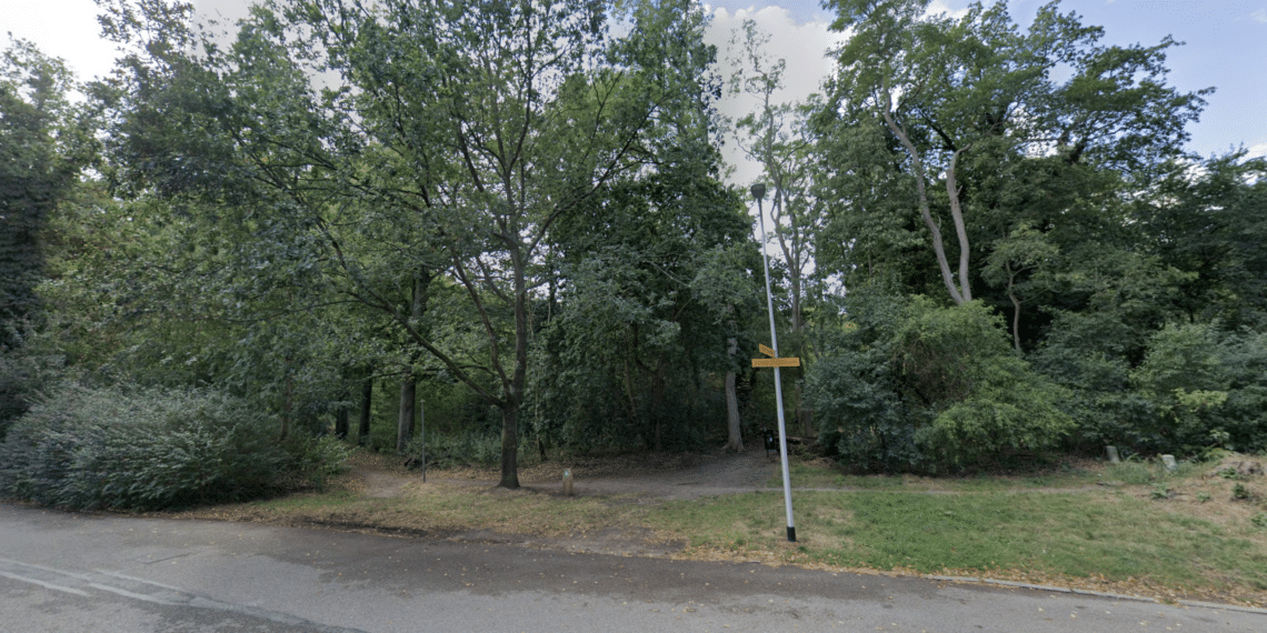 Stormschade in Bloemendaalse parken opgeruimd, bijna alle wandelgebieden weer open