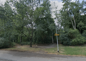 Stormschade in Bloemendaalse parken opgeruimd, bijna alle wandelgebieden weer open