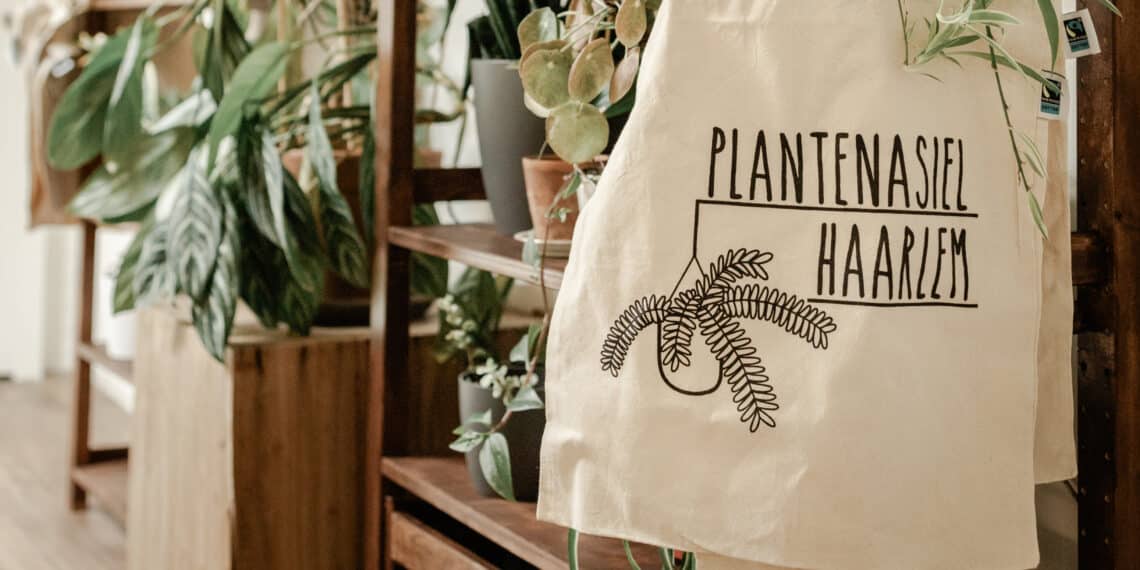 Plantenasiel Haarlem viert (her)opening tweede locatie: “We voorkomen dat planten in de prullenbak belanden”