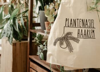 Plantenasiel Haarlem viert (her)opening tweede locatie: “We voorkomen dat planten in de prullenbak belanden”