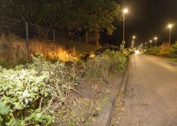 Tesla door heg tegen hekwerk na mislukte inhaalactie in Zandvoort