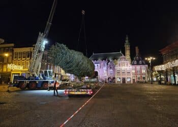 Zeventien meter hoge kerstboom prijkt weer op de Grote Markt: “Mooi moment”