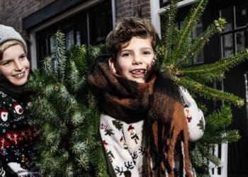 Kerstbomenactie in de regio: “De bomen worden weggewerkt en de kinderen vinden het geweldig”