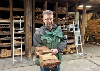 Verkoop Haarlems haardhout verdubbelt: “Dezelfde dag de deur nog uit”