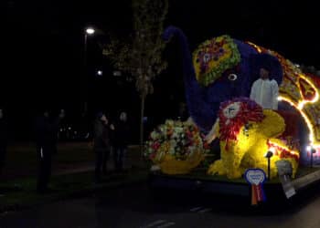 Kijk terug: Bloemencorso weekend in Haarlem