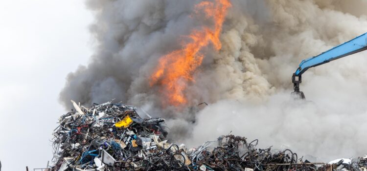 WhatsApp Image 2024-04-27 at 13.39.52