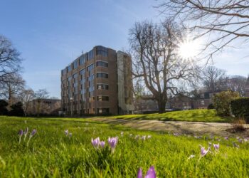 COA koopt definitief pand aan Dreef voor opvang asielzoekers: “Haarlem neemt haar verantwoordelijkheid”