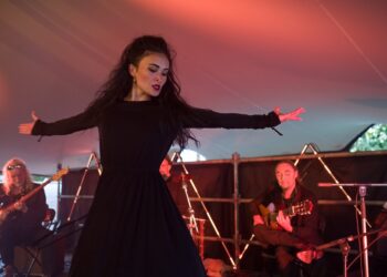 Duizenden Haarlemmers trokken naar Haarlemmerhout voor 37e Houtfestival