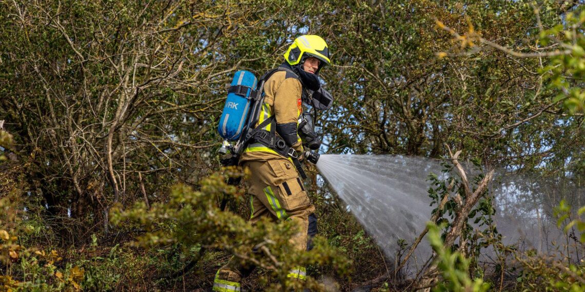Risico op duinbranden neemt toe: “Ondanks nat voorjaar toch opletten geblazen”