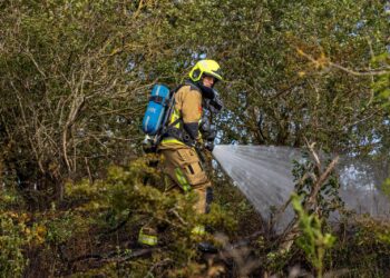 Risico op duinbranden neemt toe: “Ondanks nat voorjaar toch opletten geblazen”