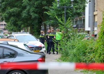 Persoon overleden na steekincident Zandvoort, vermoedelijke dader aangehouden