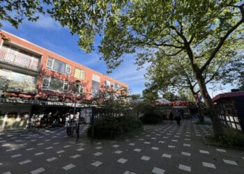 Dit zijn de plannen voor het tijdelijke winkelcentrum Reinaldapark: “Behoud groen belangrijk”