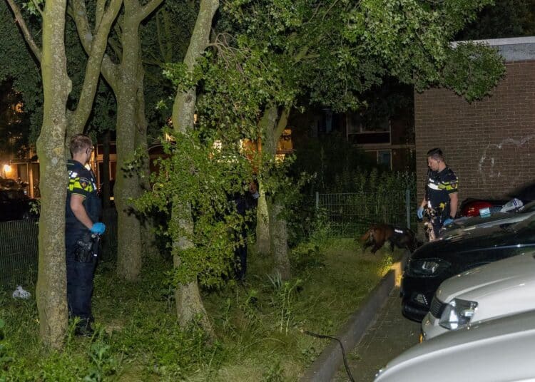 Foto: Inter Visual Studio / Kyrlian de Bot