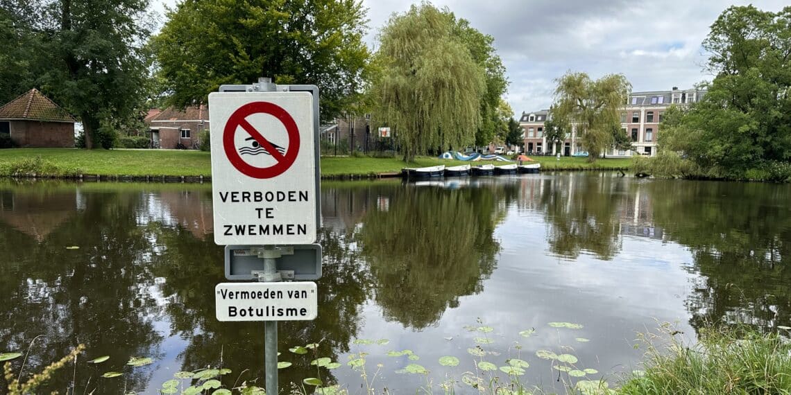 Onderzoek naar botulisme in Schotersingel na dode eenden: “Raak zieke dieren niet aan”
