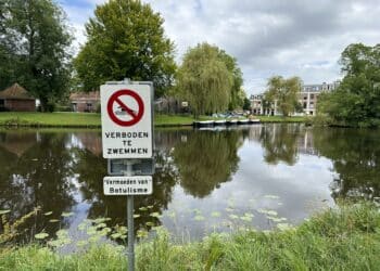 Onderzoek naar botulisme in Schotersingel na dode eenden: “Raak zieke dieren niet aan”