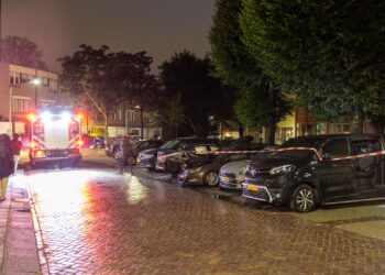 Brand Schalkwijk