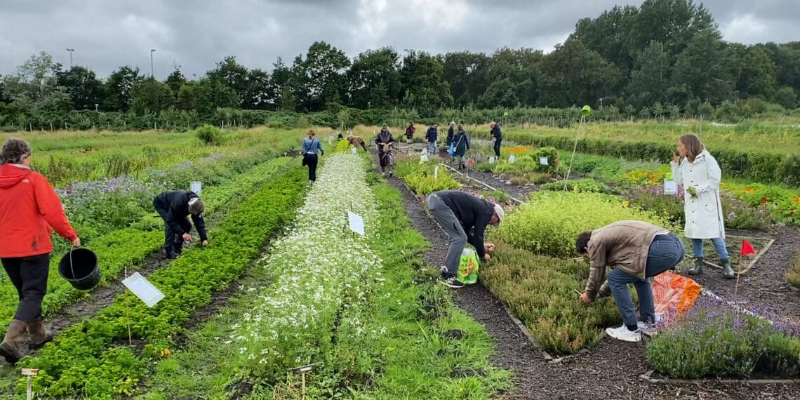 Ruim twee jaar herenboeren in Heemstede: “Lange weg te gaan om droom waar te maken”