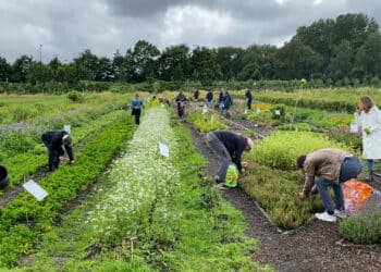 Ruim twee jaar herenboeren in Heemstede: “Lange weg te gaan om droom waar te maken”