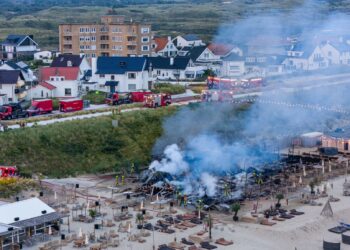 Zandvoort Hippie Fish
