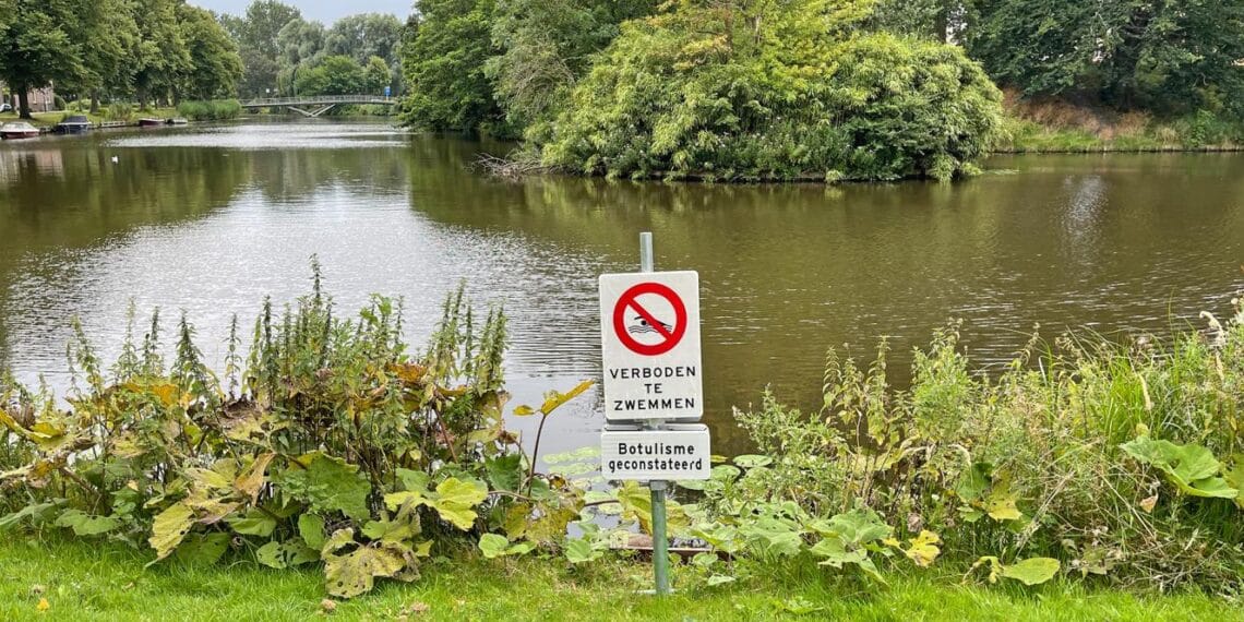 Na botulisme in Schotersingel dode eenden aangetroffen in Kloppersingel: “Verboden te zwemmen”