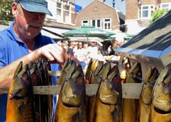 Kampioenschap makreel roken in Zandvoort: “Er hangen een paar hele mooie tussen”