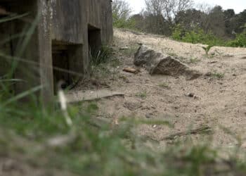 15: 1944 ‘van bunker naar bunker’ Zandvoort tijdens de oorlog