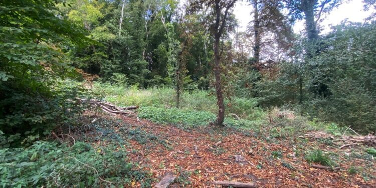 Openplek in Caprera aan begin van het park