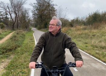 Kans op aanrijding hert weer groter door start jachtseizoen: ‘Hek Zeeweg vol gaten’