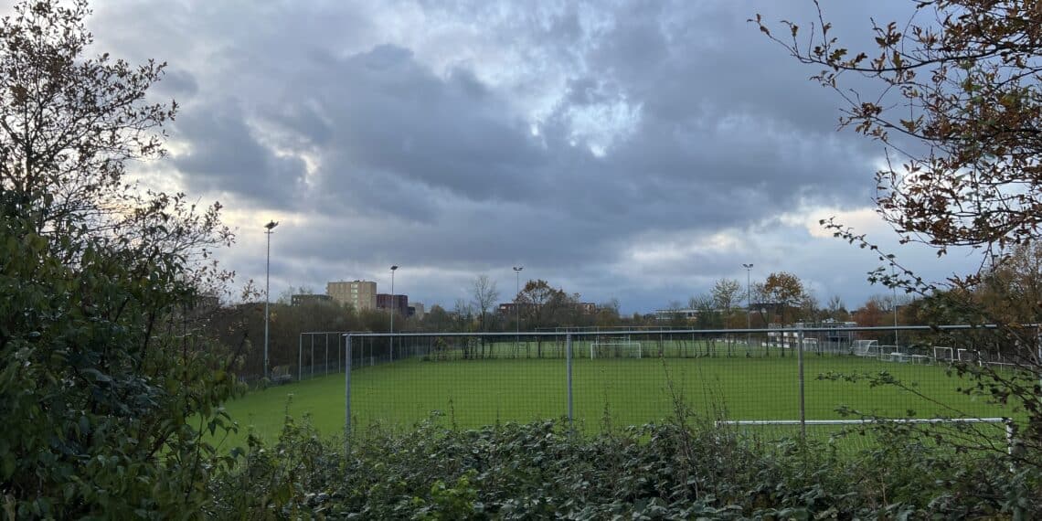 Twijfels bij nieuwbouwplan Reinaldapark: ‘Het gaat erom spannen of het voorstel het haalt’