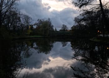 Het Schoterbos en Groener Haarlem dit jaar winnaar Lieven de Key-penning