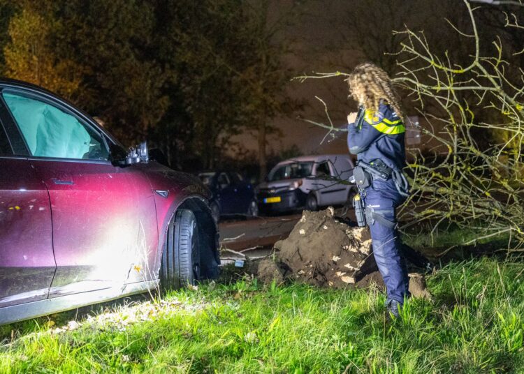 Foto's: Inter Visual Studio / Koen de Boer