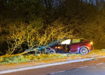 Automobiliste rijdt met hoge snelheid tegen drie lantaarnpalen, komt tot stilstand tegen boom