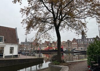 Spaarne