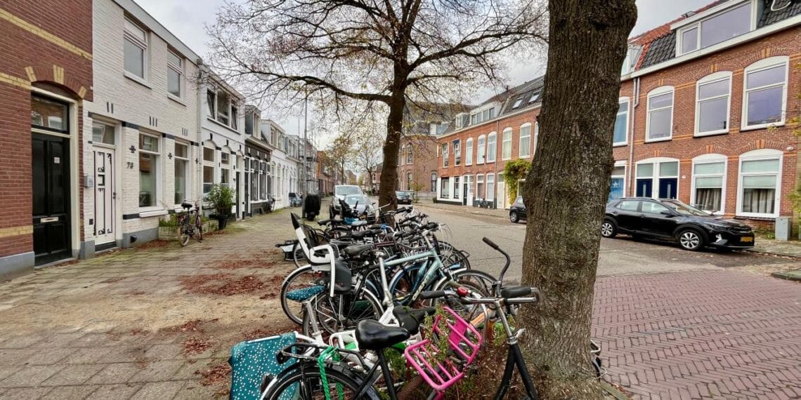 Paul Krugerstraat in Haarlem-Noord gaat op de schop en wordt fietsstraat met veel groen