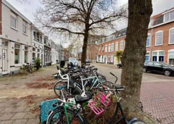 Paul Krugerstraat in Haarlem-Noord gaat op de schop en wordt fietsstraat met veel groen