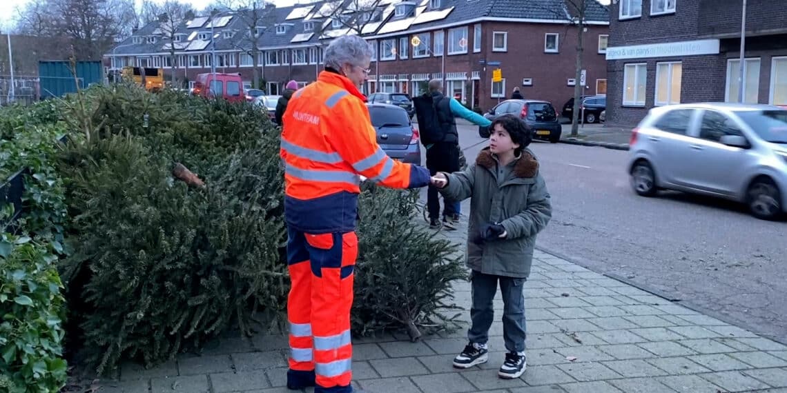 Extreem veel kerstbomen ingeleverd bij inzamelactie: ‘We zijn later dit jaar’