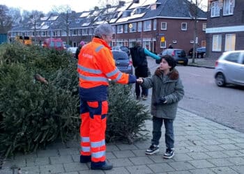 Extreem veel kerstbomen ingeleverd bij inzamelactie: ‘We zijn later dit jaar’