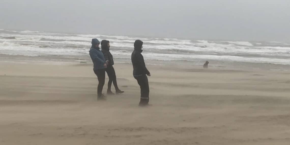 Geen nieuwjaarsduik maar uitwaaien op het strand: ‘Nogal winderig’
