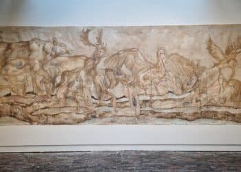 In de Vishal kun je naar ‘Boven Natuur’