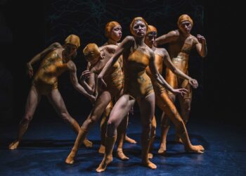 Een rijk aanbod tijdens Dansdagen Haarlem