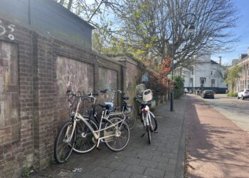 Politiek voorzichtig positief over verbeterplan toegankelijke straten Haarlem: ‘Handhaving nodig’
