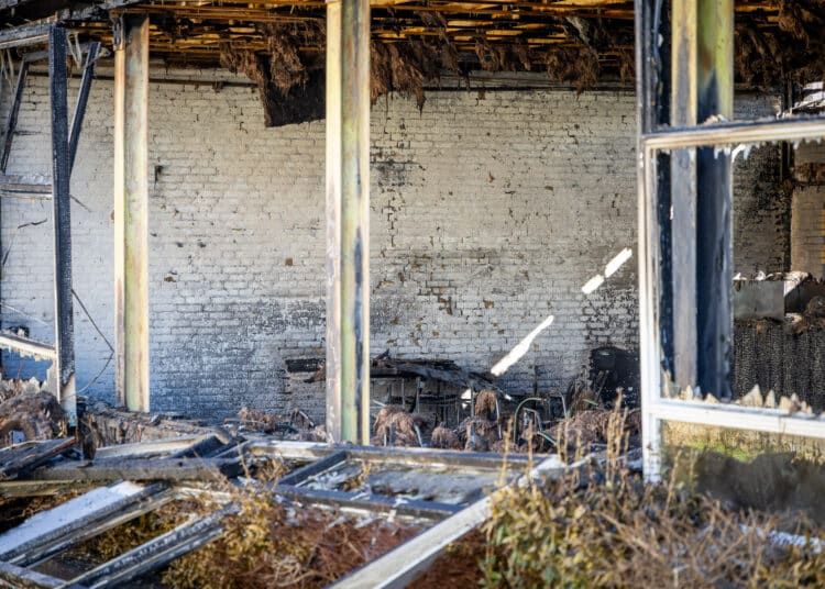 Foto: Inter Visual Studio