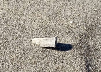 Zandvoort gaat roken op strand ontmoedigen: ‘Laatst nog 4.000 peuken in het zand gevonden’