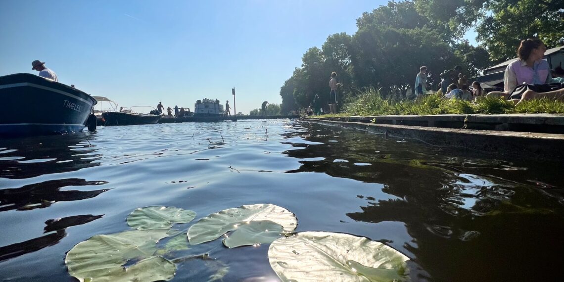 Blauwalg en zwemmersjeuk bij veel zwemlocaties: Molenplas en zee nog veilig